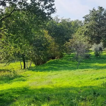 Agricampeggio La Casa Di Nicla Cavriglia
